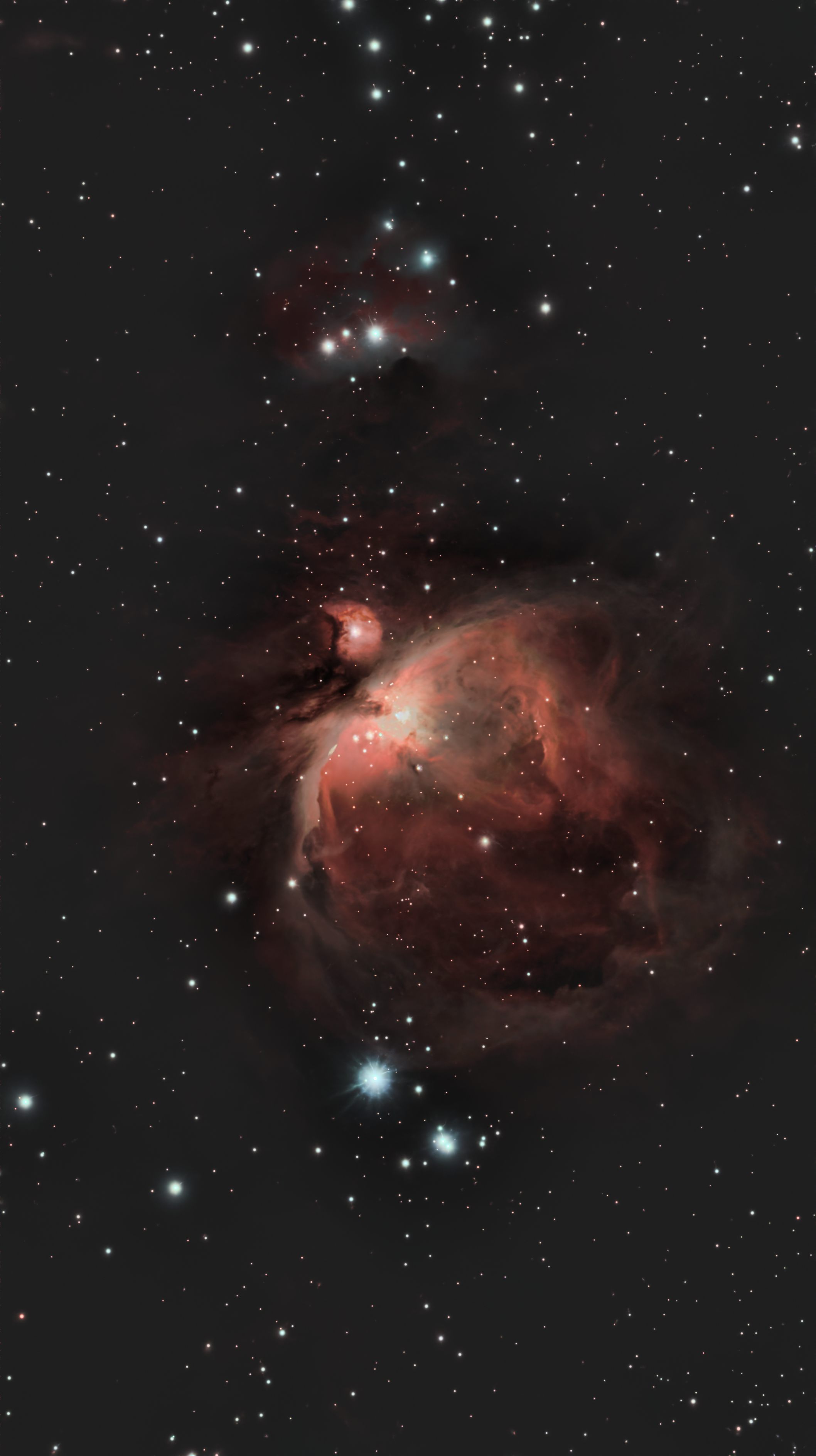 M42 (Orion Nebula)